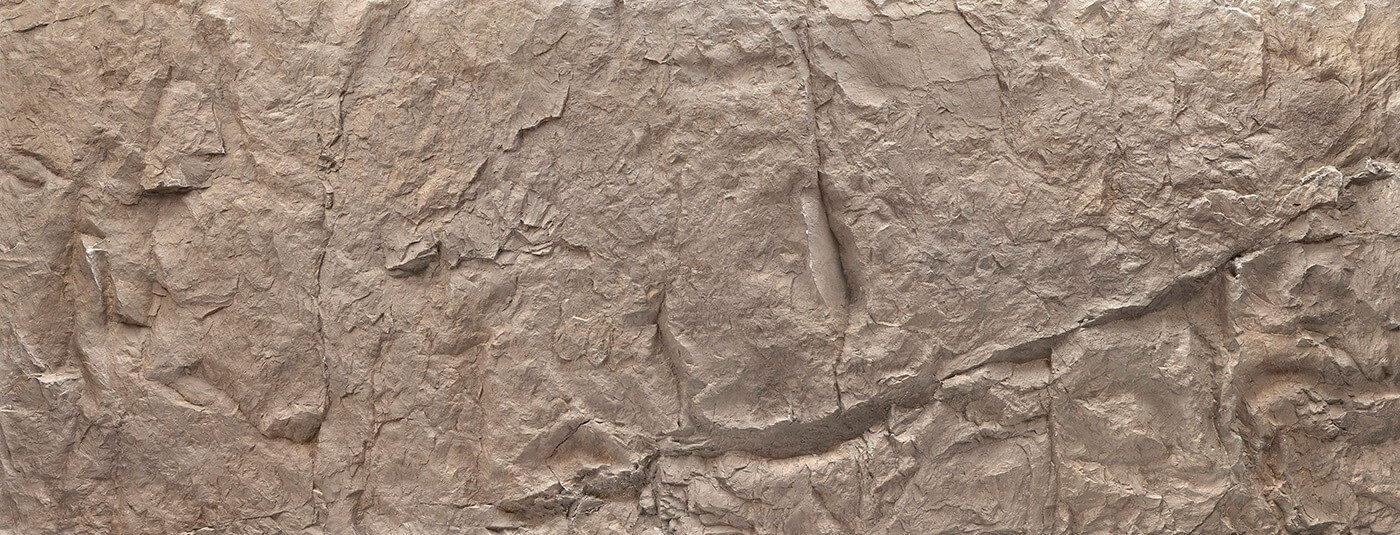 https://www.tuglakaplama.tr/urun/canyon-tas-panel-coffe
